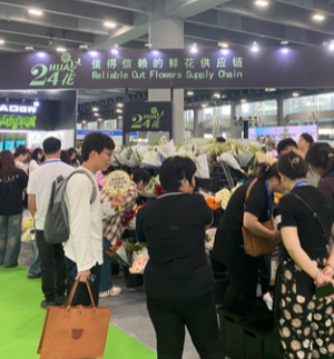 1757406634875.png 1757406634875.png